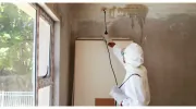 State Termite & Pest Solutions