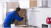 Statewide Pest Control