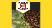 ASAP Bee Removal