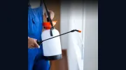 Budget Termite & Pest Control