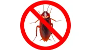 Command Pest Control