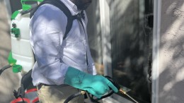 Pest control expert spraying external treatment around home