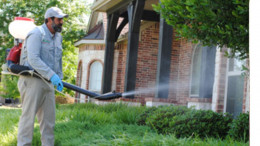 Mosquito Control