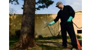 Traditional Pest Control