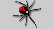 Adios Pest Control Service