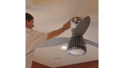 Interior Scorpion Sealing, Removal, and Prevention