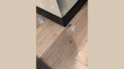 Redi National Pest Eliminators - Athens