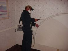 Bed Bugs are NO match for our 6 step elimination program!