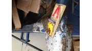 Pest control / Exsterminator
