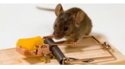 Rodent Control