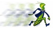 Extermco Termite & Pest Control