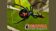 Ventura Pest Control
