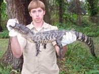 A Four Foot Florida Alligator